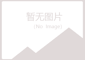 宁夏埋没音乐有限公司